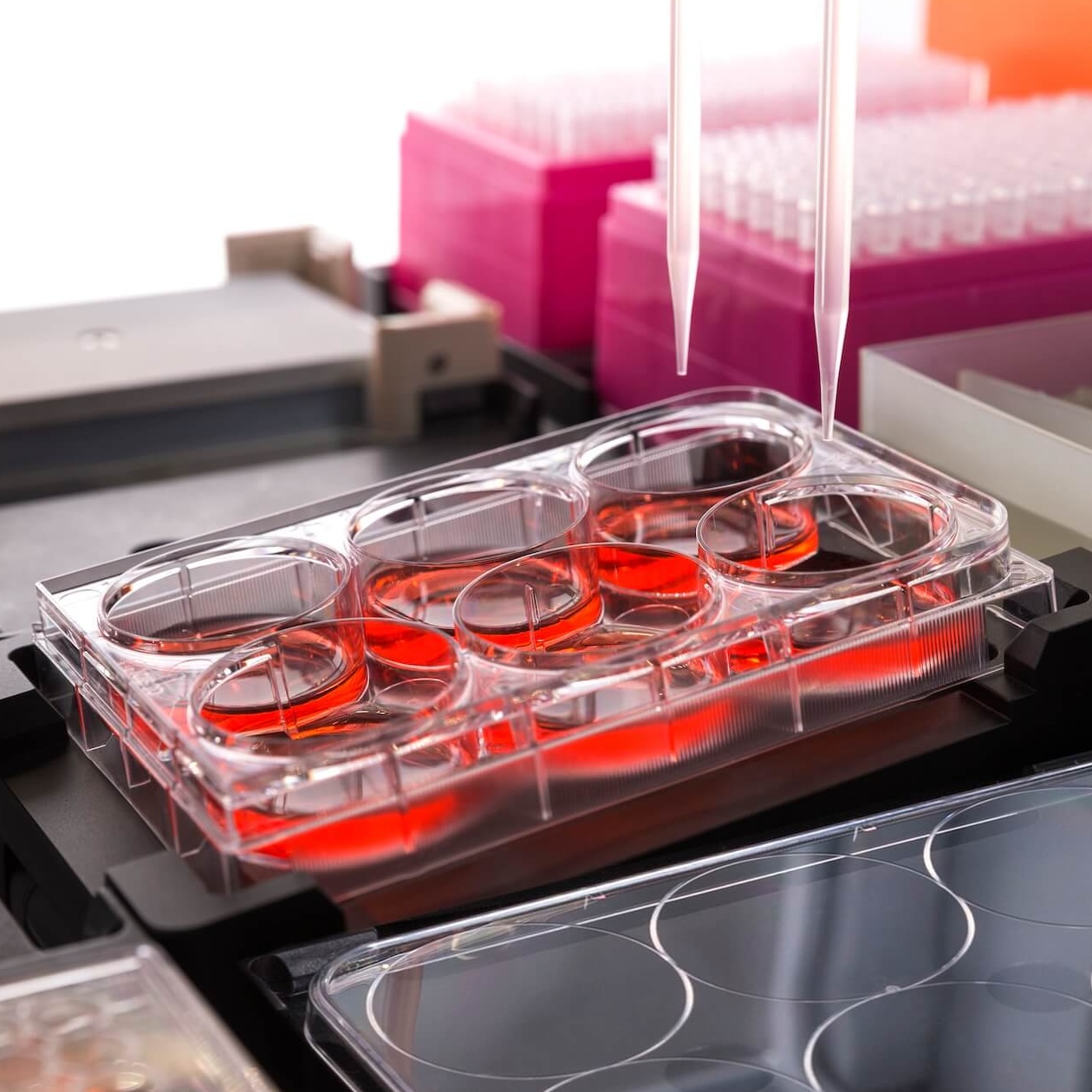 Two scientists discussing their research results